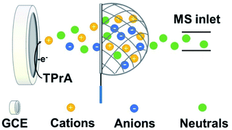 Graphical abstract: Mass spectrometric detection of fleeting neutral intermediates generated in electrochemical reactions