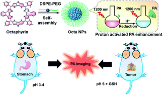 Graphical abstract: Expanded porphyrins: functional photoacoustic imaging agents that operate in the NIR-II region