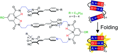 Graphical abstract: Folding and fluorescence enhancement with strong odd–even effect for a series of merocyanine dye oligomers