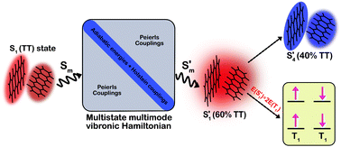 Graphical abstract: Towards multistate multimode landscapes in singlet fission of pentacene: the dual role of charge-transfer states