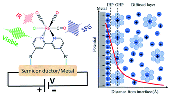 Graphical abstract: Vibrational Stark shift spectroscopy of catalysts under the influence of electric fields at electrode–solution interfaces