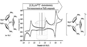 Graphical abstract: Electrochemical studies of tris(cyclopentadienyl)thorium and uranium complexes in the +2, +3, and +4 oxidation states