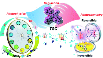 Graphical abstract: Achieving highly efficient aggregation-induced emission, reversible and irreversible photochromism by heavy halogen-regulated photophysics and D–A molecular pattern-controlled photochemistry of through-space conjugated luminogens