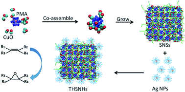 Graphical abstract: Ternary hybrid CuO-PMA-Ag sub-1 nm nanosheet heterostructures