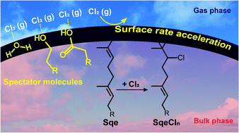 Graphical abstract: Experimental evidence that halogen bonding catalyzes the heterogeneous chlorination of alkenes in submicron liquid droplets