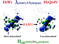 Graphical abstract: Contributions to cytochrome c inner- and outer-sphere reorganization energy
