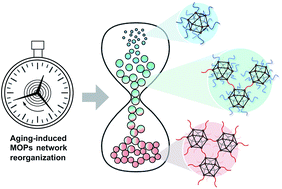 Graphical abstract: Multiscale structural control of linked metal–organic polyhedra gel by aging-induced linkage-reorganization