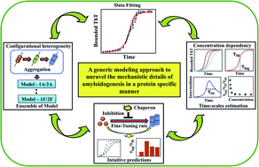 Graphical abstract: A generic approach to decipher the mechanistic pathway of heterogeneous protein aggregation kinetics