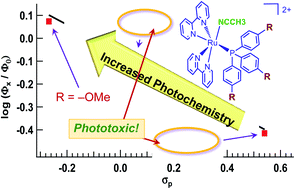 Graphical abstract: Trifluoromethyl substitution enhances photoinduced activity against breast cancer cells but reduces ligand exchange in Ru(ii) complex