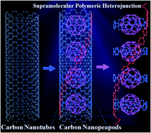 Graphical abstract: A supramolecular polymeric heterojunction composed of an all-carbon conjugated polymer and fullerenes