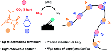 Graphical abstract: Mg(ii) heterodinuclear catalysts delivering carbon dioxide derived multi-block polymers