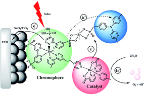 Graphical abstract: Photodriven water oxidation initiated by a surface bound chromophore-donor-catalyst assembly