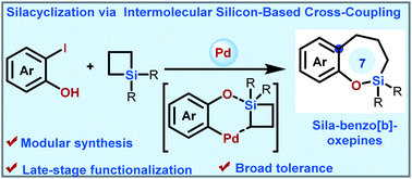 Graphical abstract: Silacyclization through palladium-catalyzed intermolecular silicon-based C(sp2)–C(sp3) cross-coupling