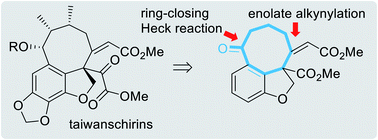 Graphical abstract: Development of an enolate alkynylation approach towards the synthesis of the taiwanschirin natural products