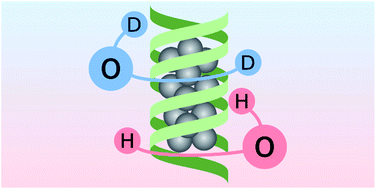 Graphical abstract: The effect of deuterium on the photophysical properties of DNA-stabilized silver nanoclusters