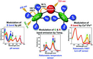 Graphical abstract: Multi-stimuli programmable FRET based RGB absorbing antennae towards ratiometric temperature, pH and multiple metal ion sensing