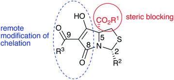 Graphical abstract: Mediation of metal chelation in cysteine-derived tetramate systems