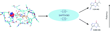 Graphical abstract: Towards the simulation of large scale protein–ligand interactions on NISQ-era quantum computers