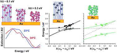 Graphical abstract: Active control of strong plasmon–exciton coupling in biomimetic pigment–polymer antenna complexes grown by surface-initiated polymerisation from gold nanostructures