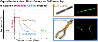 Graphical abstract: The role of cooling rate in crystallization-driven block copolymer self-assembly