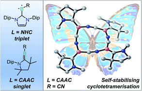Graphical abstract: Can a Wanzlick-like equilibrium exist between dicoordinate borylenes and diborenes?