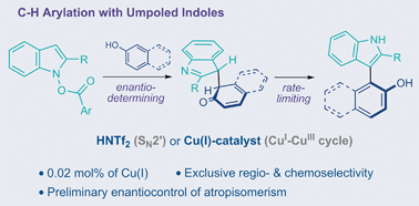 Graphical abstract: Ortho-selective C–H arylation of phenols with N-carboxyindoles under Brønsted acid- or Cu(i)-catalysis