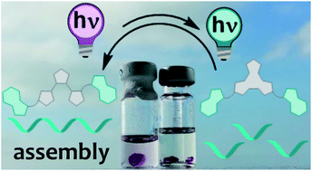 Graphical abstract: Photoswitchable architecture transformation of a DNA-hybrid assembly at the microscopic and macroscopic scale