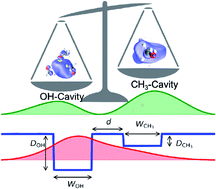 Graphical abstract: Shallow and deep trap states of solvated electrons in methanol and their formation, electronic excitation, and relaxation dynamics