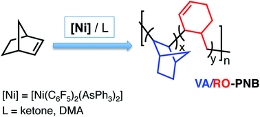 Graphical abstract: A different polynorbornene backbone by combination of two polymer growth pathways: vinylic addition and ring opening via β-C elimination