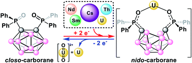 Graphical abstract: Selective electrochemical capture and release of uranyl from aqueous alkali, lanthanide, and actinide mixtures using redox-switchable carboranes