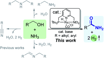 Graphical abstract: Acceptorless dehydrogenative synthesis of primary amides from alcohols and ammonia