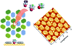 Graphical abstract: Molecular planting of a single organothiol into a “gap-site” of a 2D patterned adlayer in an electrochemical environment