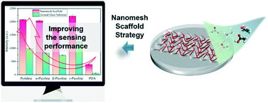 Graphical abstract: Highly improved performance of a film-based fluorescent sensor via a nanomesh scaffold strategy