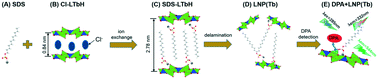 Graphical abstract: A ratiometric luminescence nanoprobe based on layered terbium hydroxide nanosheets for quantitative detection of an anthrax biomarker