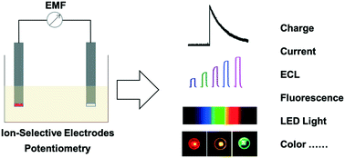 Graphical abstract: Ionophore-based ion-selective electrodes: signal transduction and amplification from potentiometry