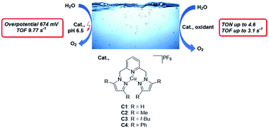 Graphical abstract: Chemical and electrochemical water oxidation mediated by bis(pyrazol-1-ylmethyl)pyridine-ligated Cu(i) complexes