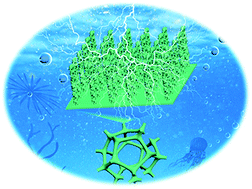 Graphical abstract: Hierarchical Cu2S hollow nanowire arrays for highly efficient hydrogen evolution reaction