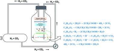 Graphical abstract: Green hydrogen and platform chemicals production from acidogenic conversion of brewery spent grains co-fermented with cheese whey wastewater: adding value to acidogenic CO2