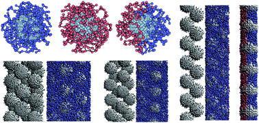 Graphical abstract: Self-assembly of polymer-tethered nanoparticles with uniform and Janus surfaces in nanotubes