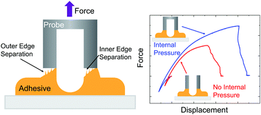 Graphical abstract: Mechanics of adhesives under annular confinement: internal pressure, force, and interfacial area