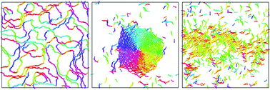 Graphical abstract: Emergent vortices and phase separation in systems of chiral active particles with dipolar interactions
