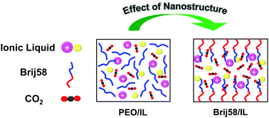 Graphical abstract: Soft nanoconfinement of ionic liquids in lyotropic liquid crystals