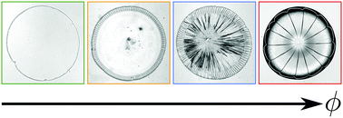 Graphical abstract: Crack morphologies in drying suspension drops