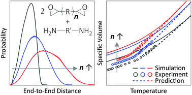 Graphical abstract: Atomistic simulation of volumetric properties of epoxy networks: effect of monomer length