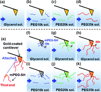 Graphical abstract: Drag force of polyethyleneglycol in flows of polymer solutions measured using a scanning probe microscope