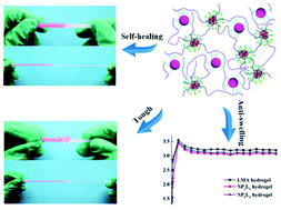 Graphical abstract: Tough and self-healing hydrogels based on transient crosslinking by nanoparticles