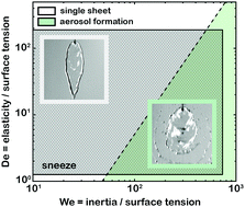 Graphical abstract: Variations in human saliva viscoelasticity affect aerosolization propensity