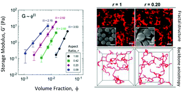 Graphical abstract: Microstructure and elasticity of dilute gels of colloidal discoids