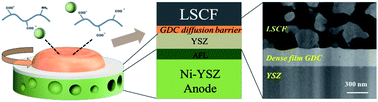 Graphical abstract: A hydrogel-assisted GDC chemical diffusion barrier for durable solid oxide fuel cells