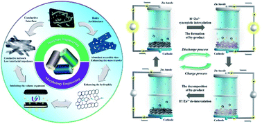 Graphical abstract: A unique morphology and interface dual-engineering strategy enables the holey C@VO2 cathode with enhanced storage kinetics for aqueous Zn-ion batteries
